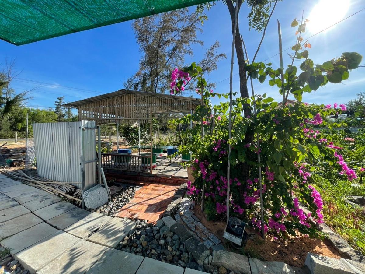 Duc Luu Quang Binh Thuan Tuy Phong
