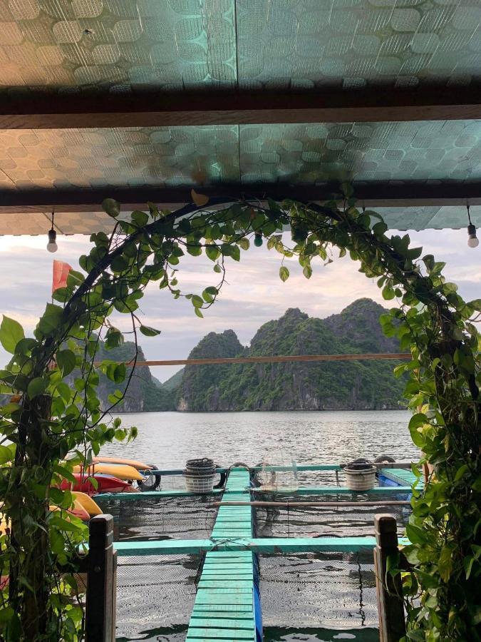 Farm stay Eco Floating Farm Cai Beo Chan Chau