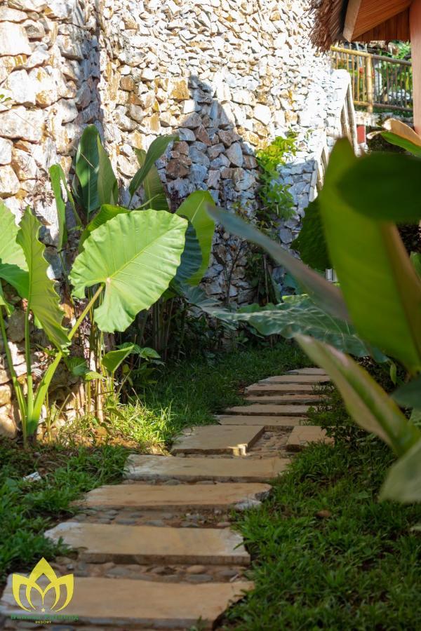 Hanasa Resort