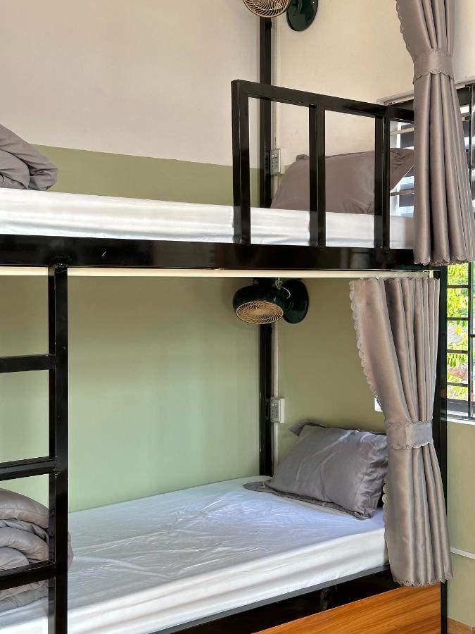 Felila & Tours Hostel *