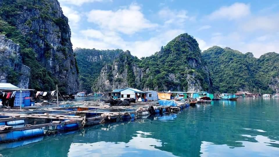 Aroma Cat Ba Sea View Khách sạn