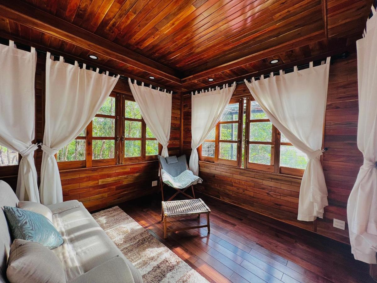 Villa Ong Vinh House - Living Among Nature ! *