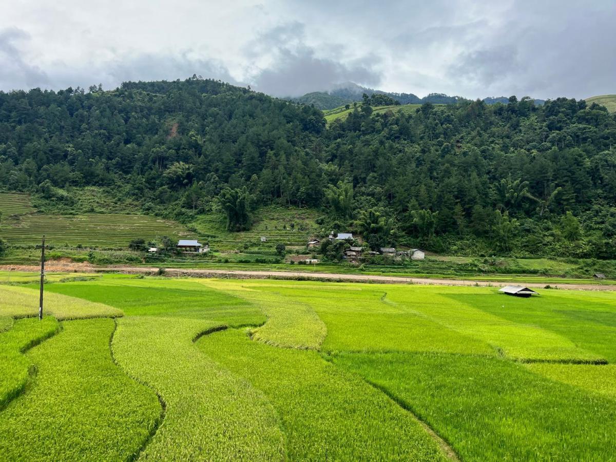 Hotel Hoa Thao