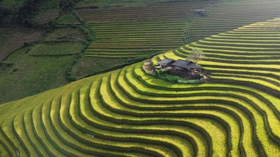 Hotel Hoa Thao Mu Cang Chai
