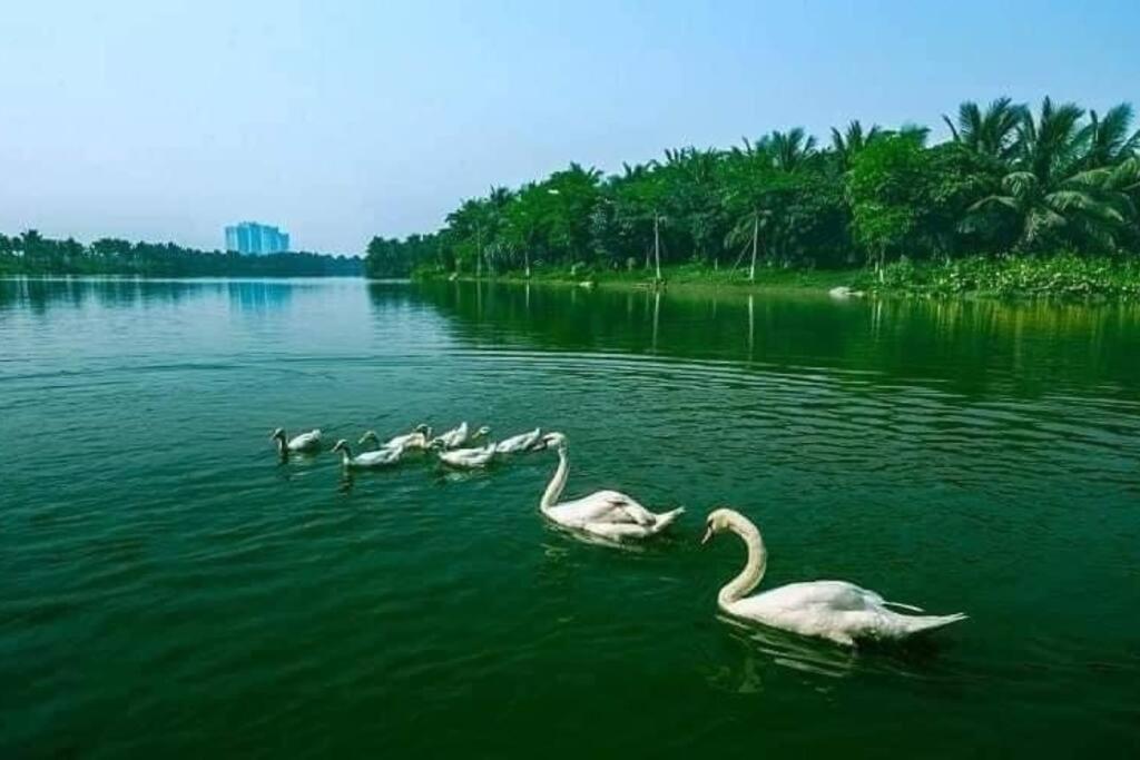 Ecopark Haven Apartment