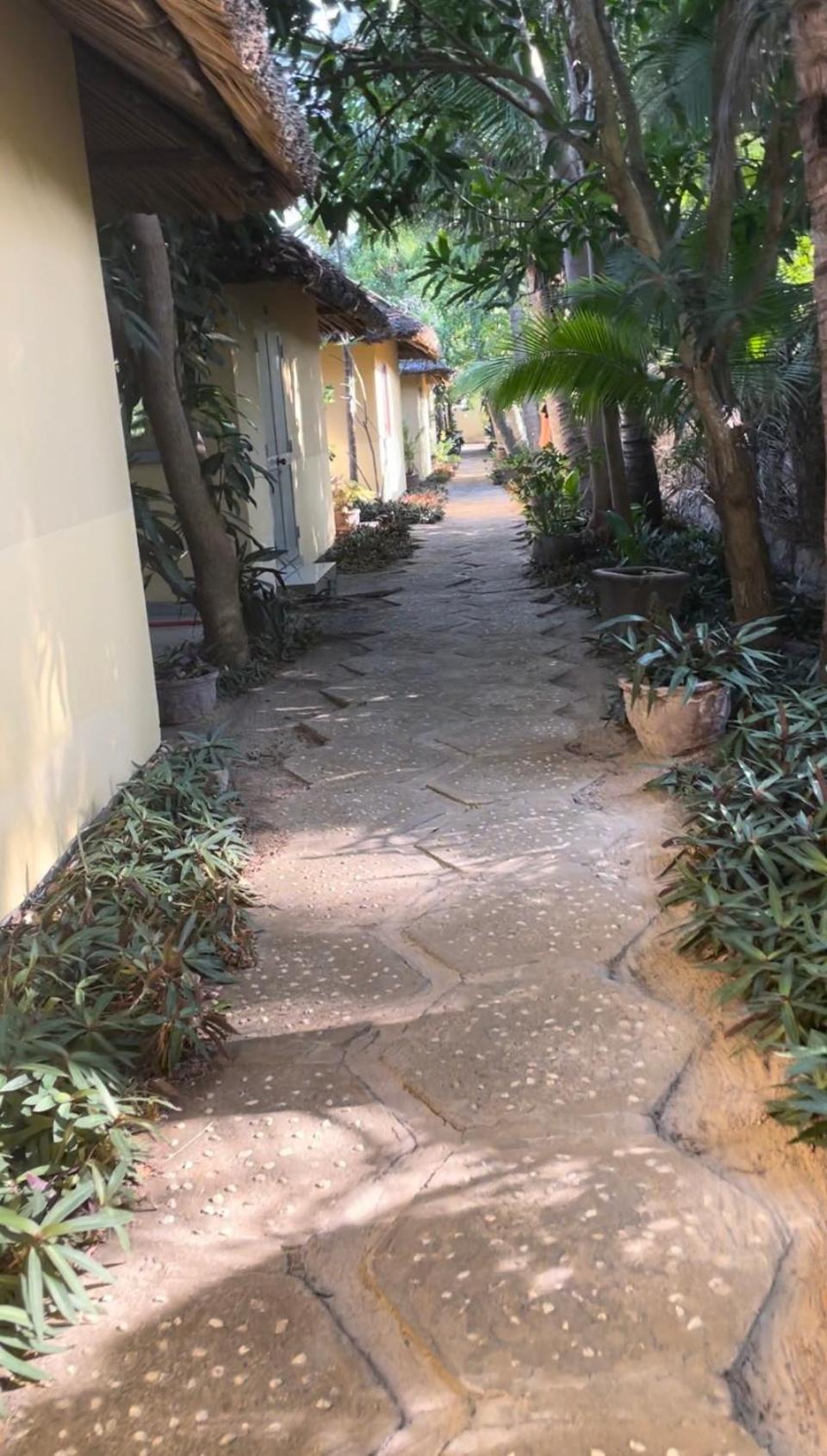 Thuy - Gunter Garden Privatunterkunft
