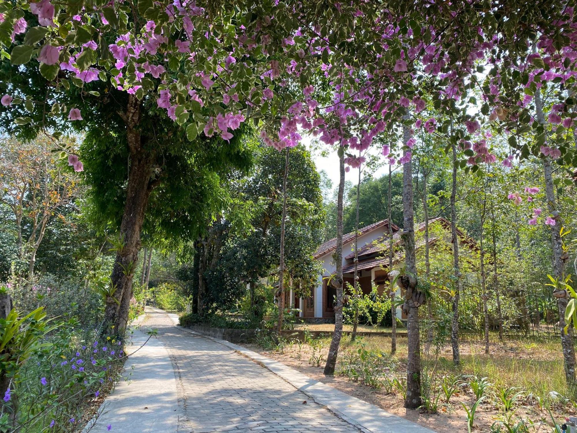 The Garden House Phú Quốc