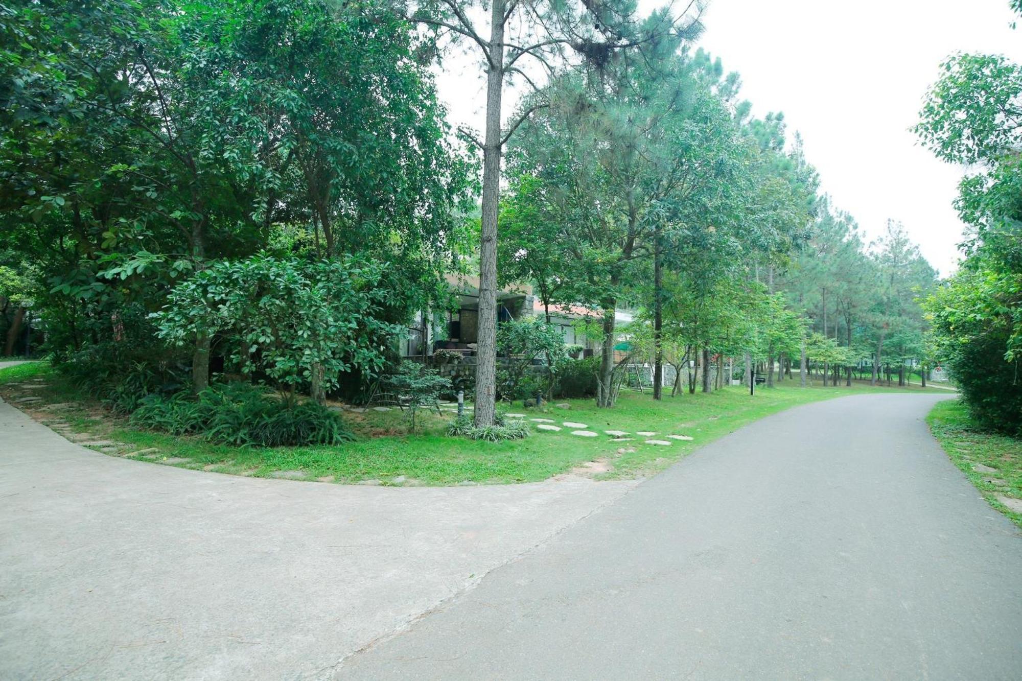 Villa Owner Tai Khu Nghi Duong Sinh Thai Dai Lai