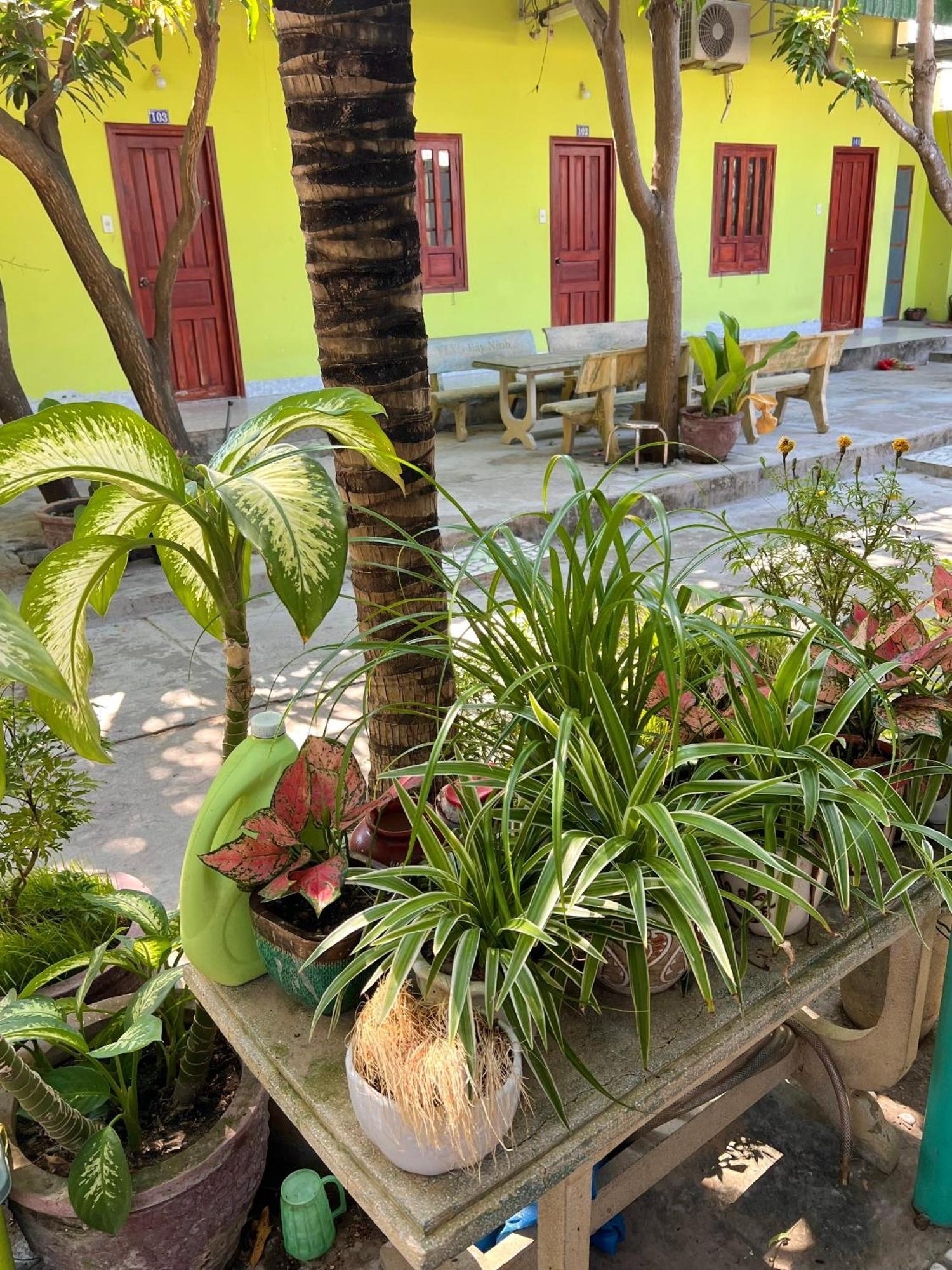 Guest house Duc Thao Mui Ne
