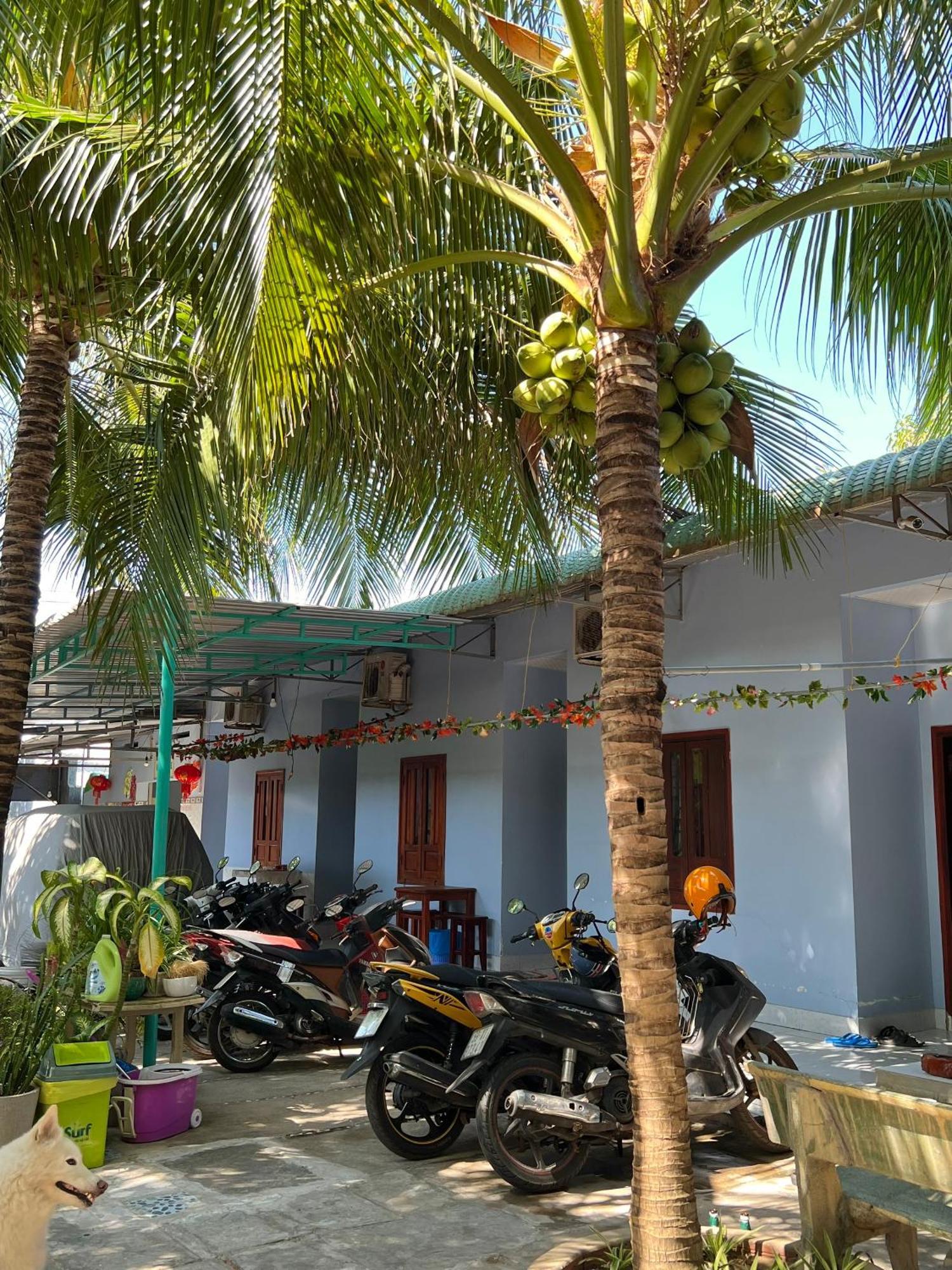 Duc Thao Mui Ne