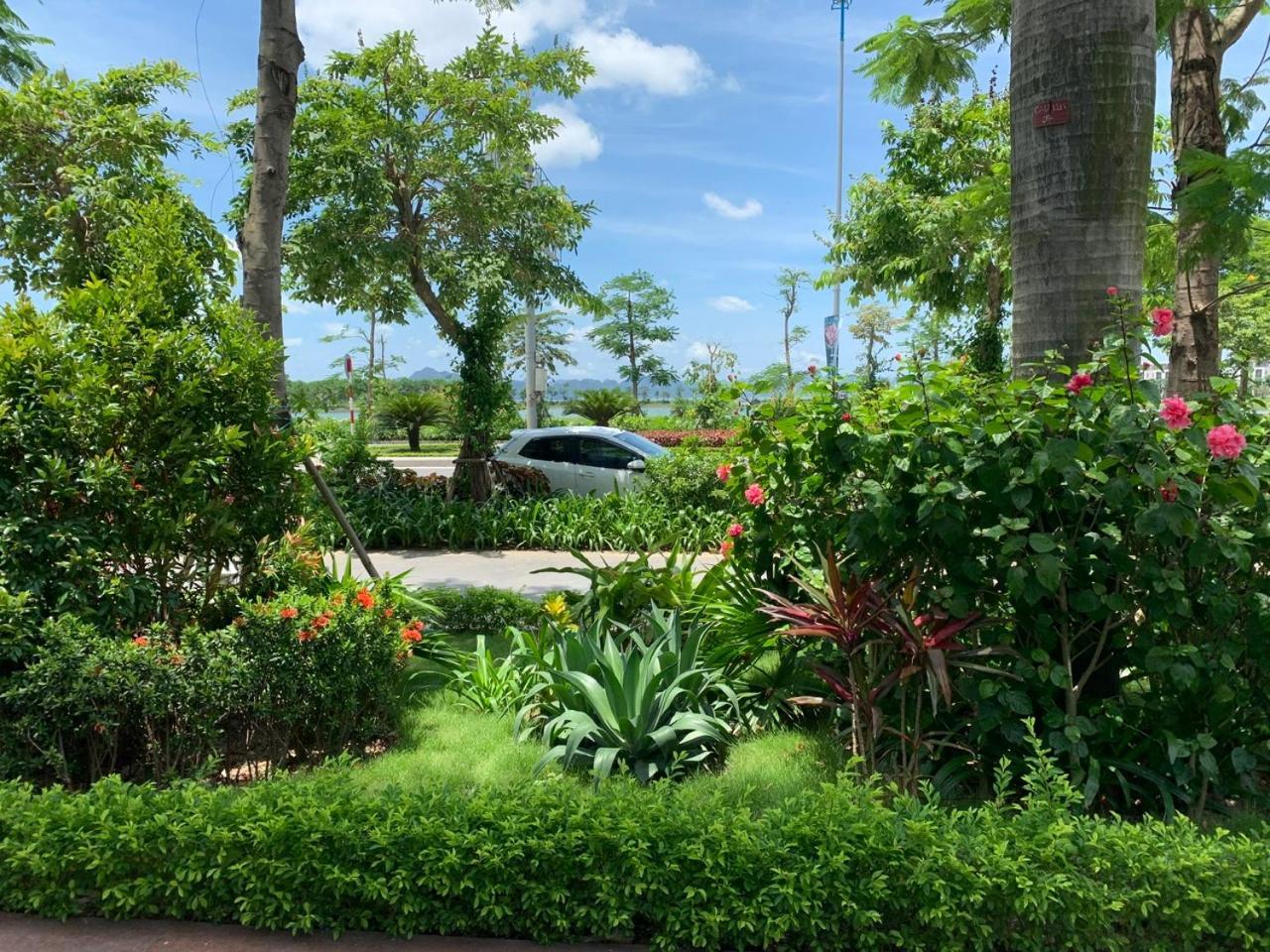 Sunday Premium Apartment *