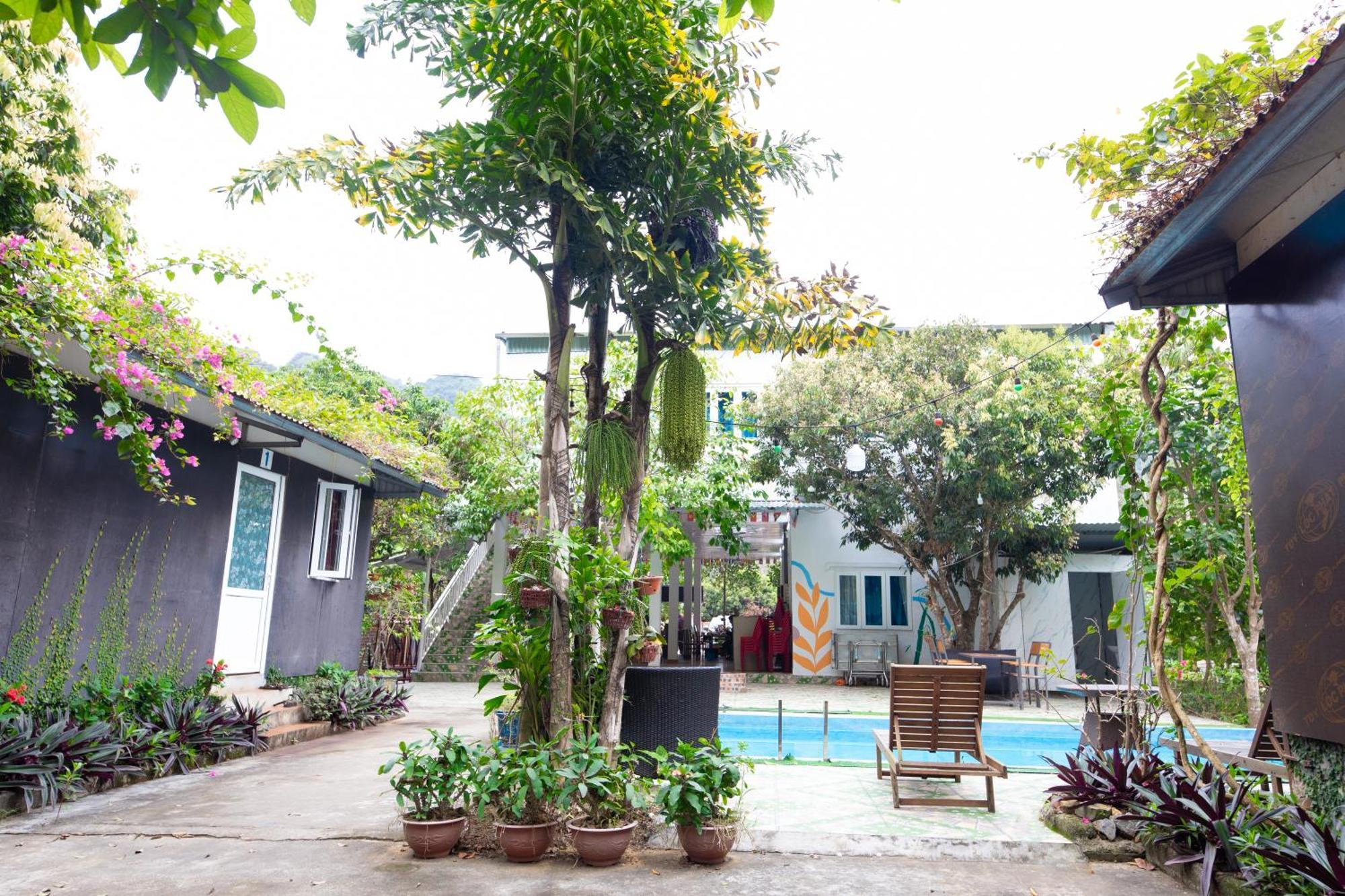 Cat Ba Countryside Privatunterkunft
