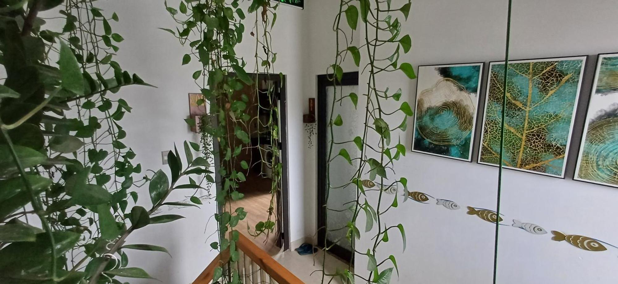 Apartment Seashine Da Nang