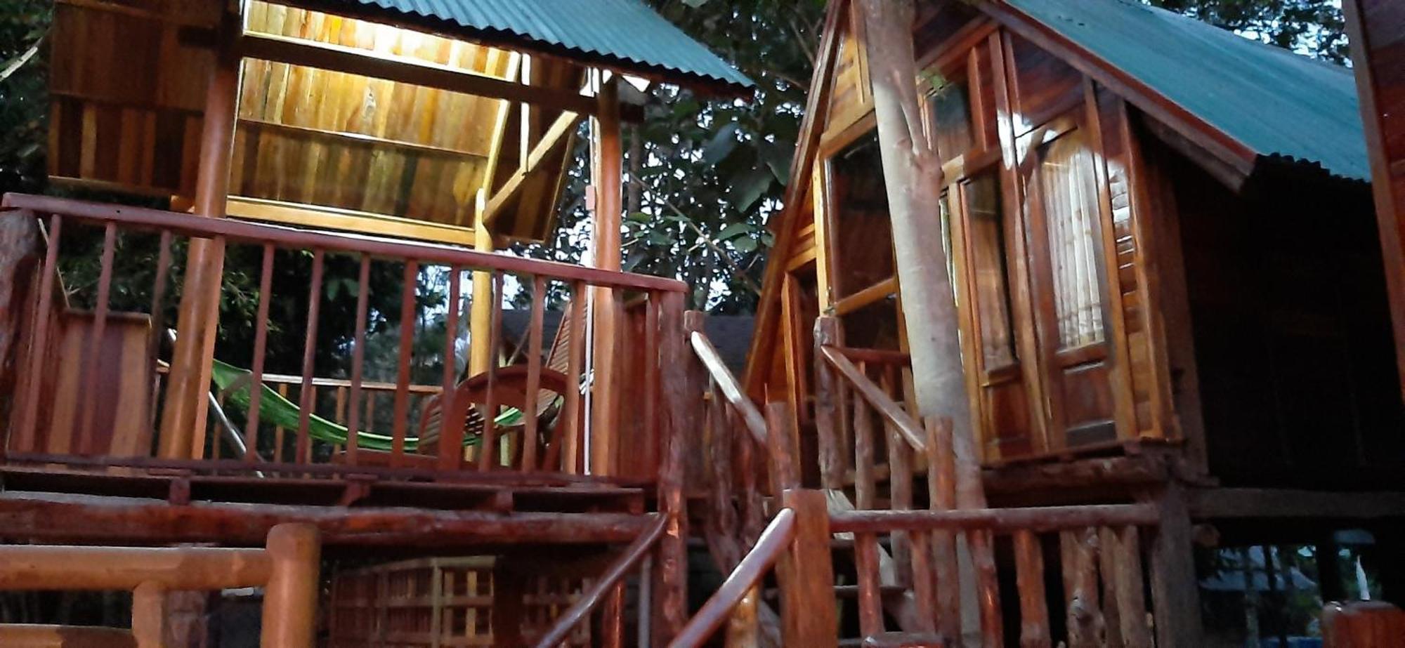 Bamboo 2*