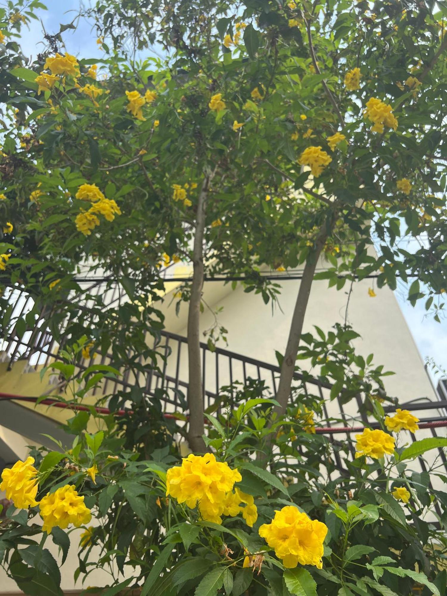 Guest house Hakuna Matata *