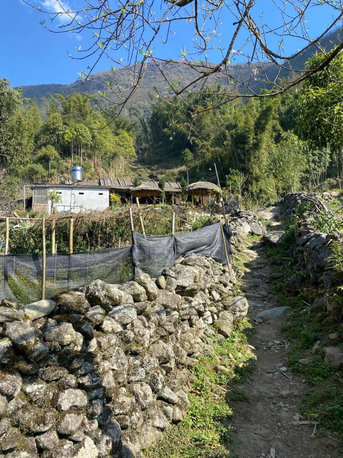 Homestay Sue Pa Family Trekking Sa Pa