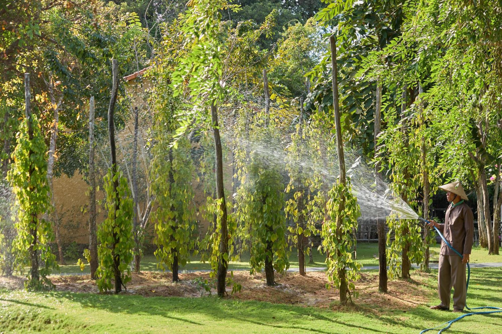 Bay Resort&spa Phú Quốc