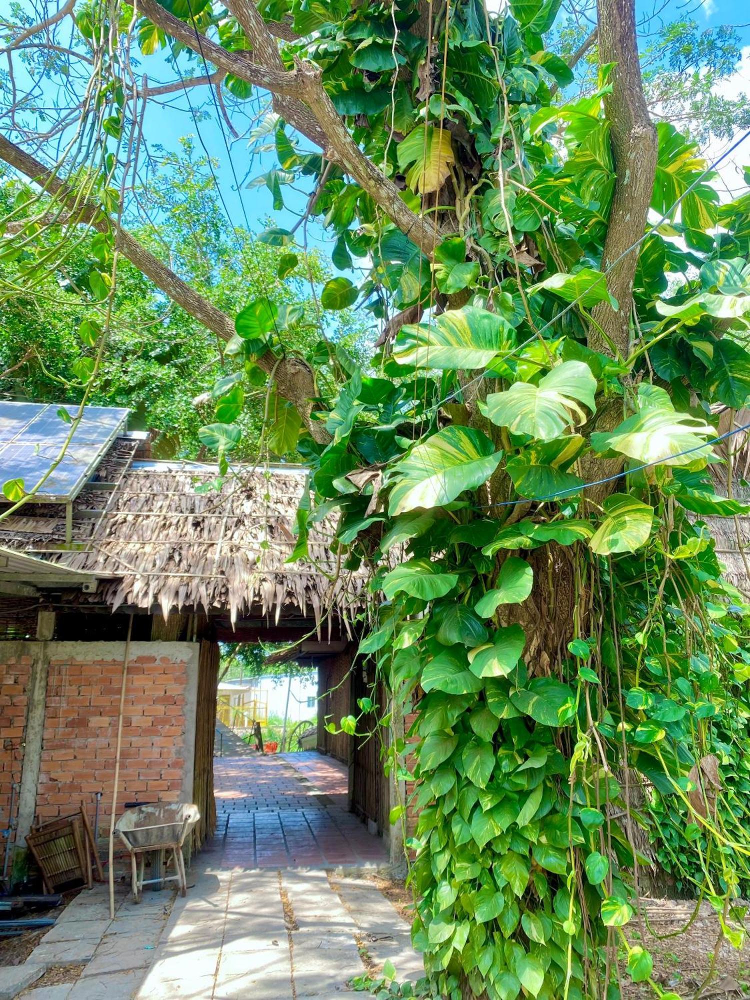 Resort Hometravel Mekong Tho 2*