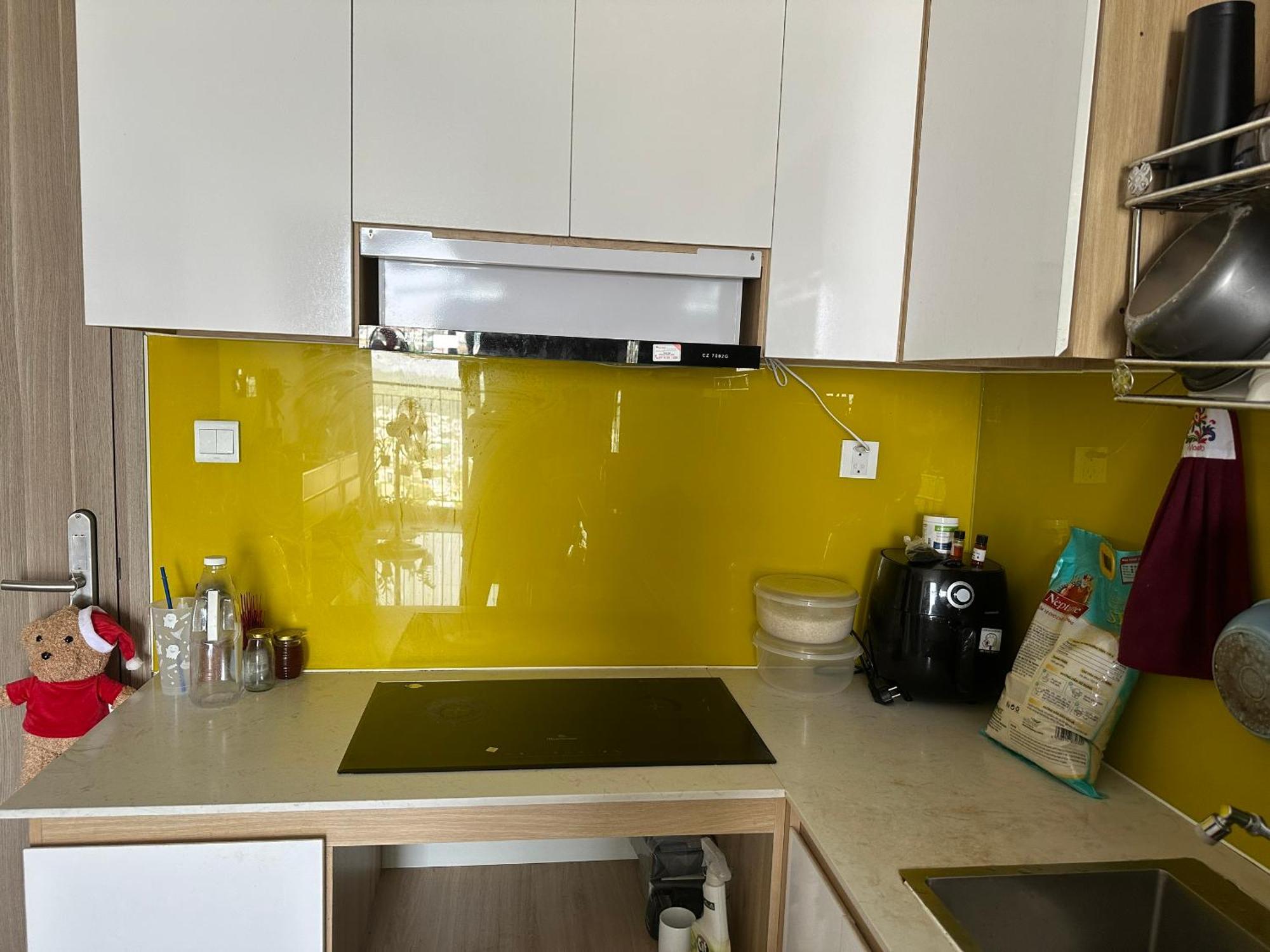 Ho Vinhome Grand Park - Apartment Go Cong