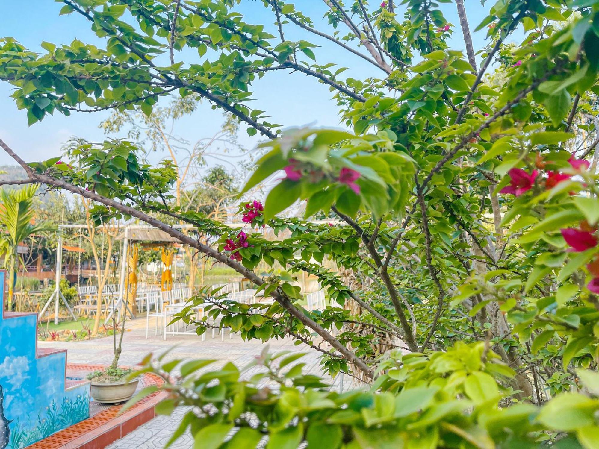 Trang An Quynh Trang Happy & Garden Ninh Binh