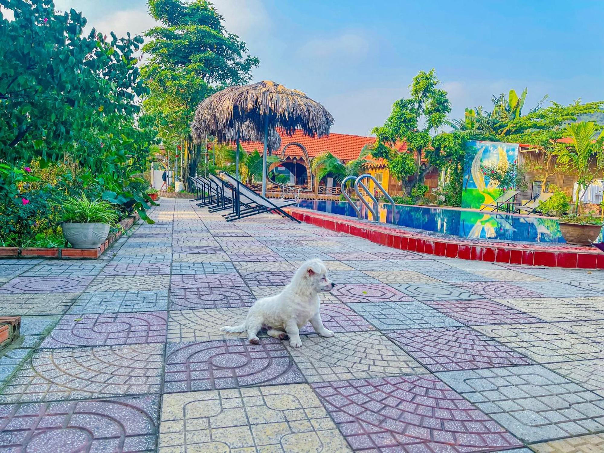 Trang An Quynh Trang Happy & Garden 3*