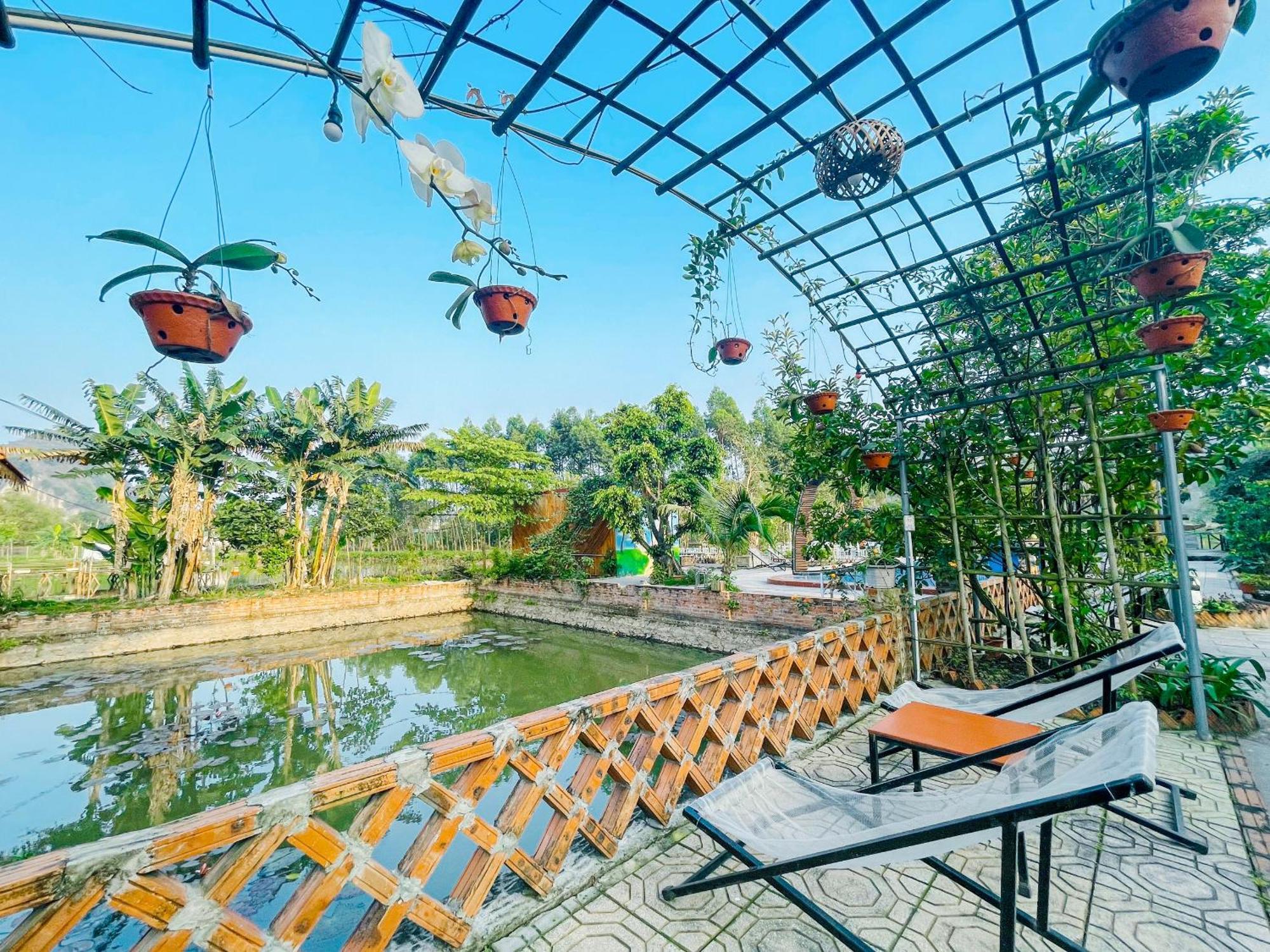 Hotel Trang An Quynh Trang Happy & Garden Ninh Binh