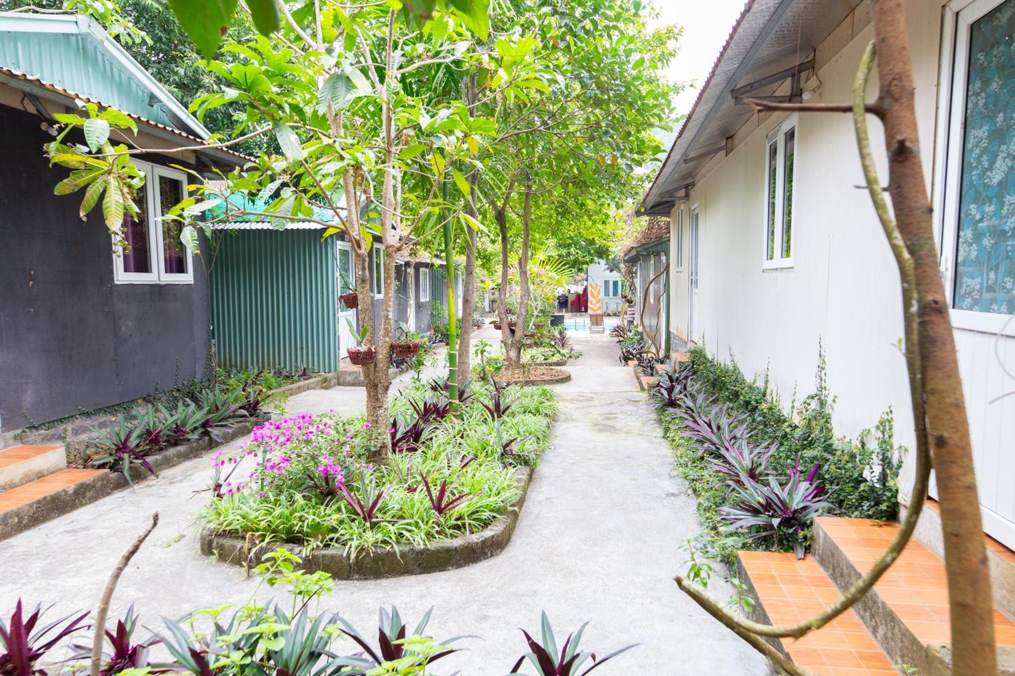 Cat Ba Countryside Privatunterkunft *