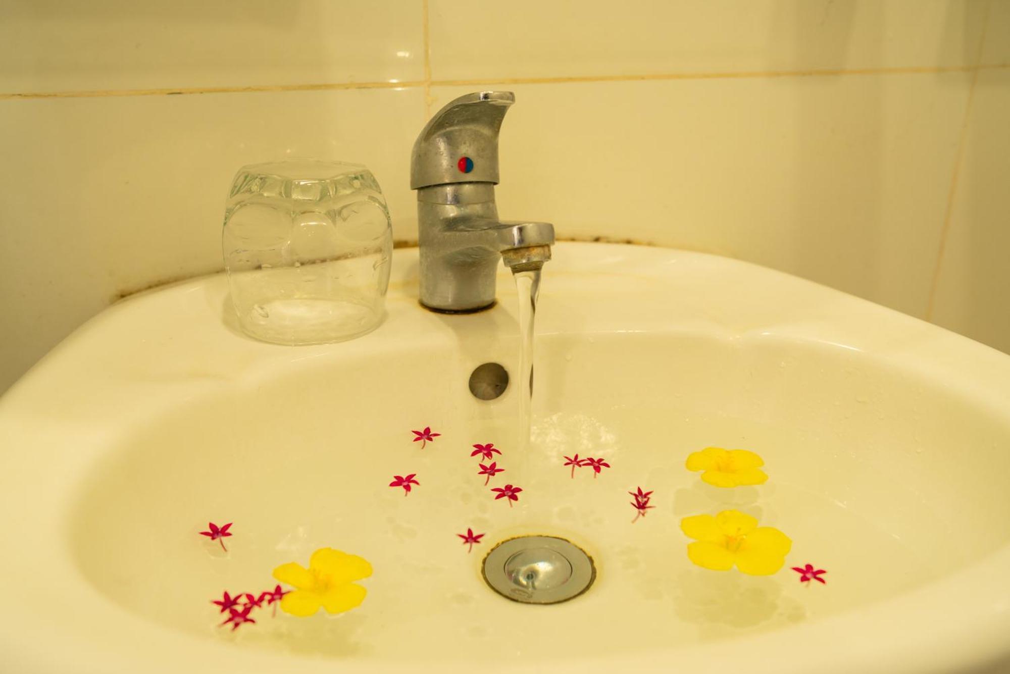 Resort Ivory Falls 3*