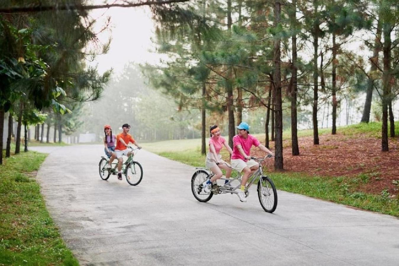 Villa Biet Thu Chu Nha Tu Doanh Tai Flamingos Dai Lai Phuc Yen