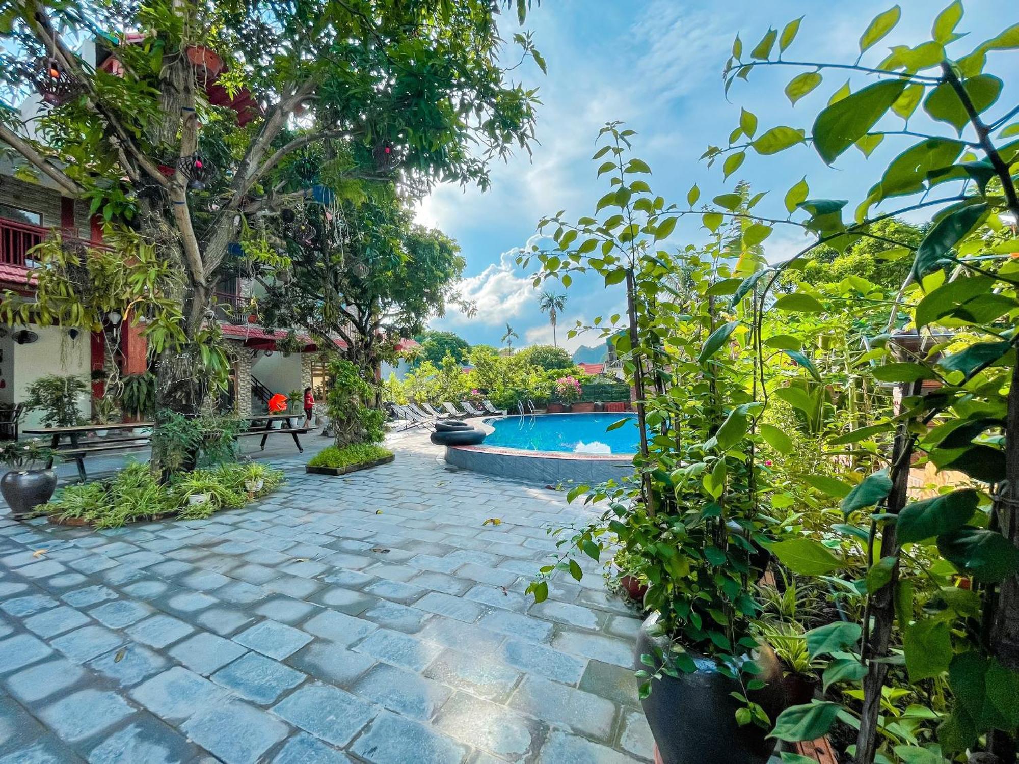Ninh Binh Kong's Bed & Breakfast