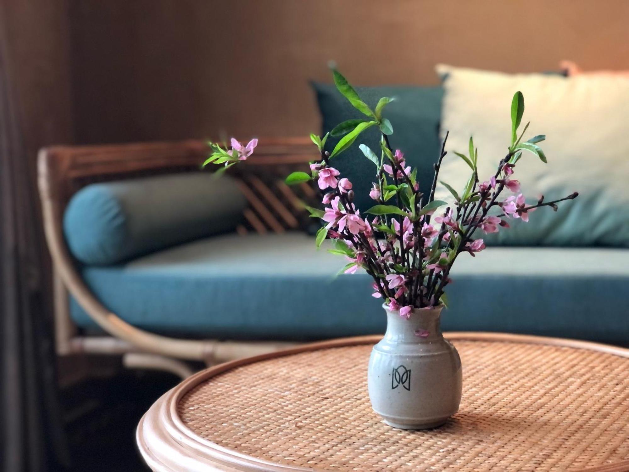 Hotel Eco Garden