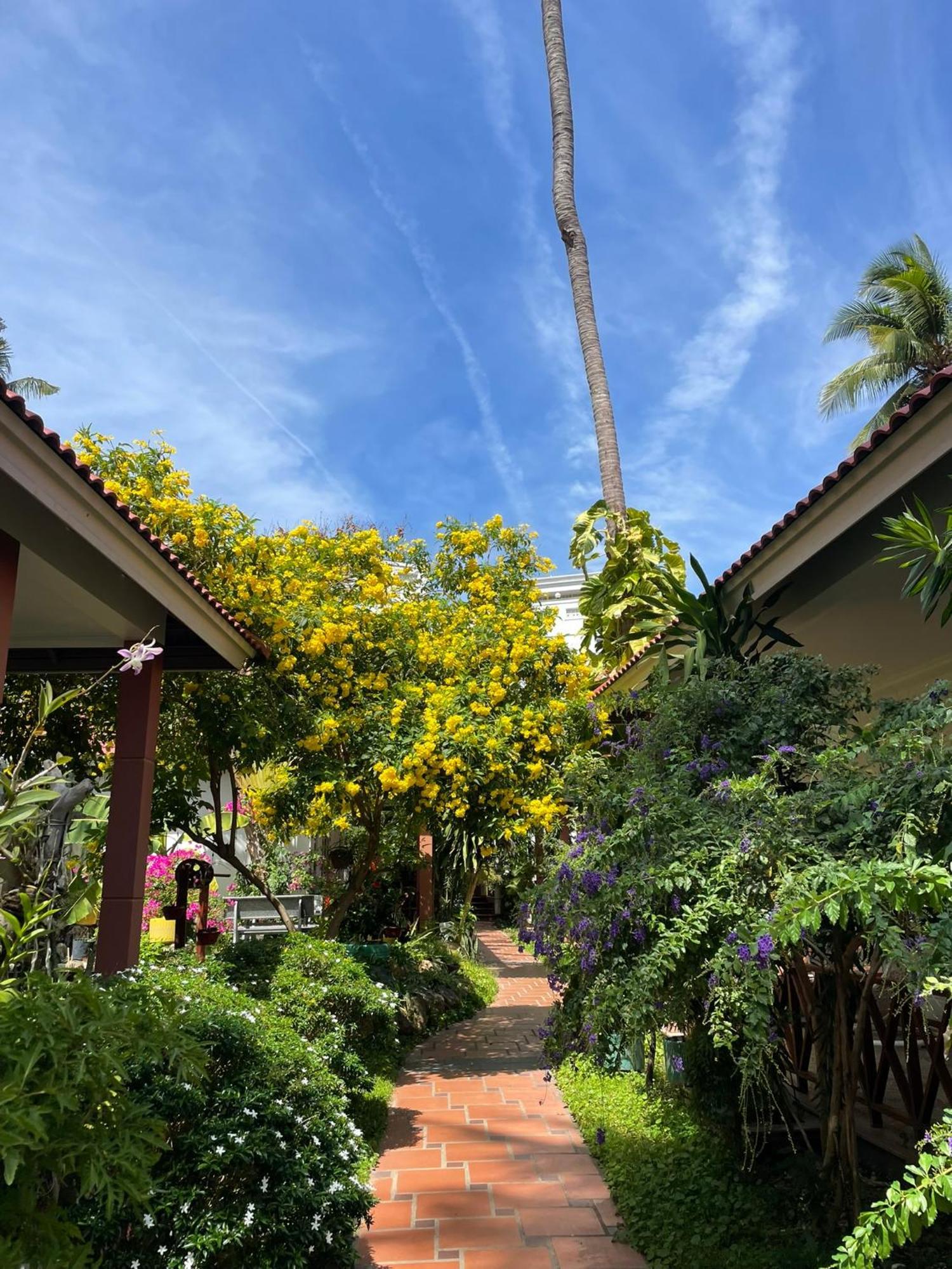 Hotel Lotus Garden Muine &