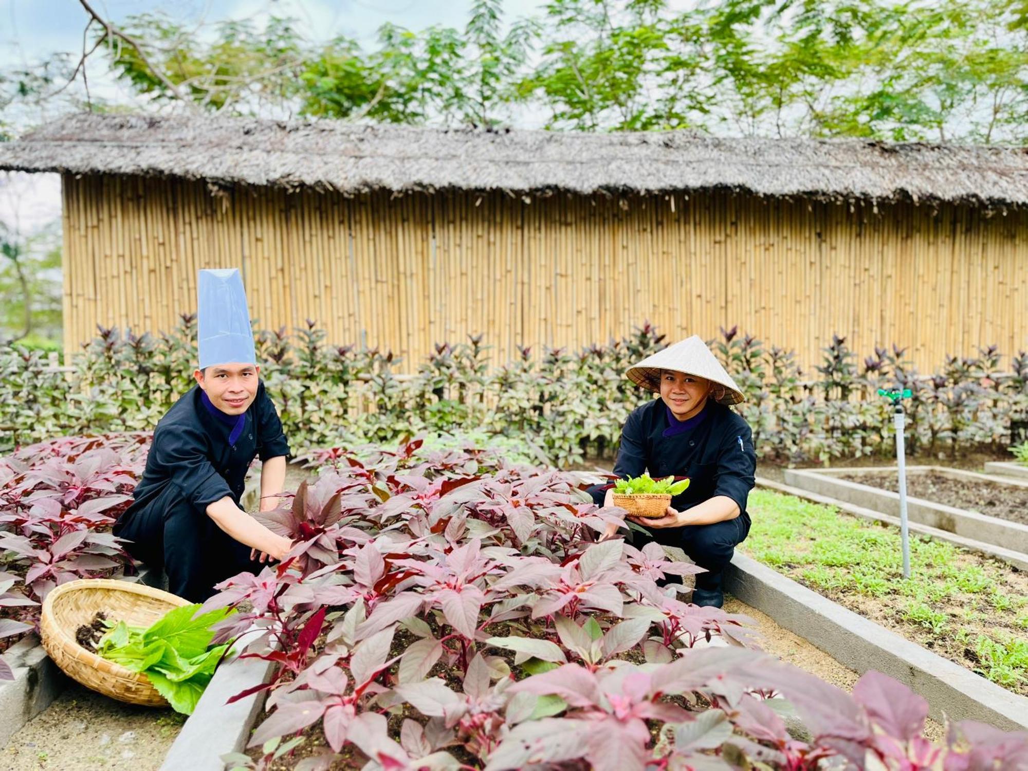 Resort Ttc Phong Bay - Himalaya Sauna & Steam Retreat Included