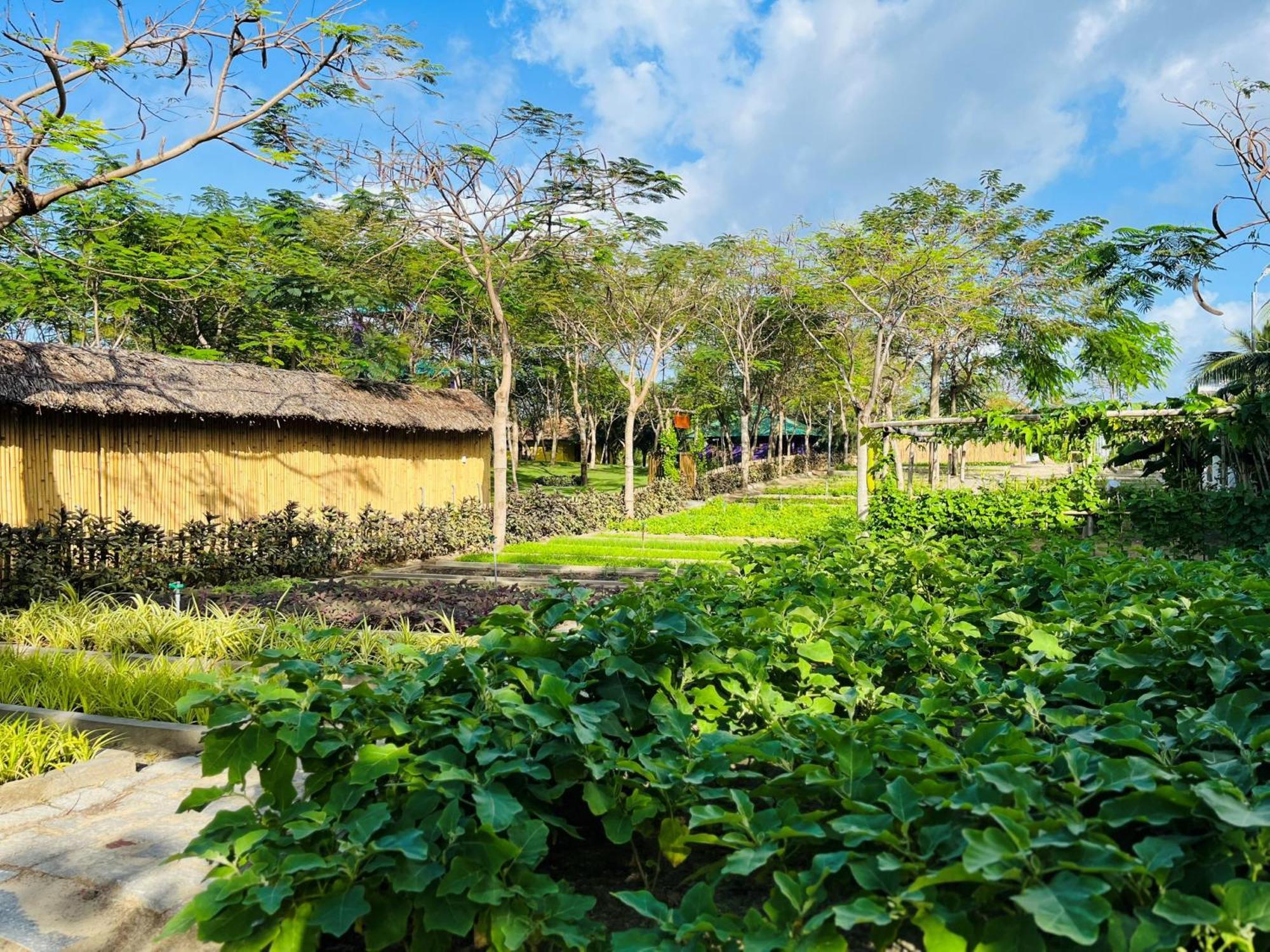 Resort Ttc Phong Bay - Himalaya Sauna & Steam Retreat Included