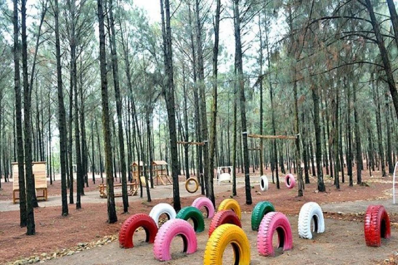 C15 Tu Doanh Tai Flamigo Dai Lai Nhà khách Phuc Yen