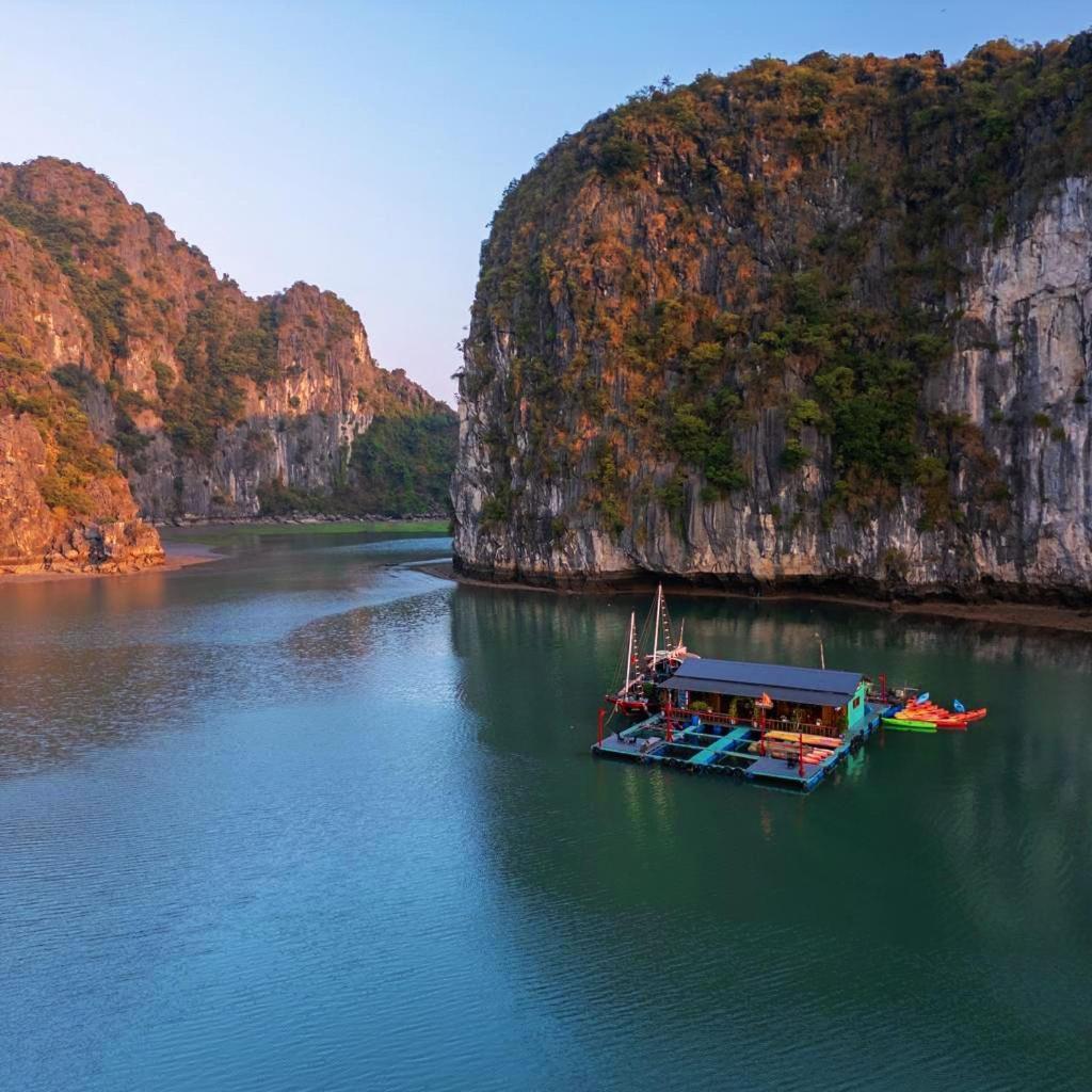 Eco Floating Farm Cai Beo Farm stay Chan Chau