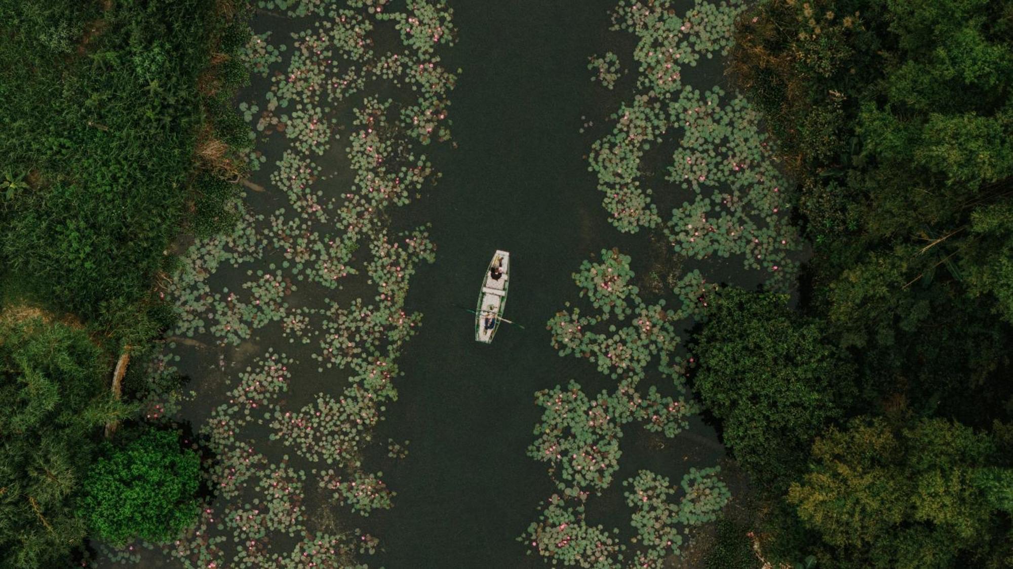 Aravinda Resort
