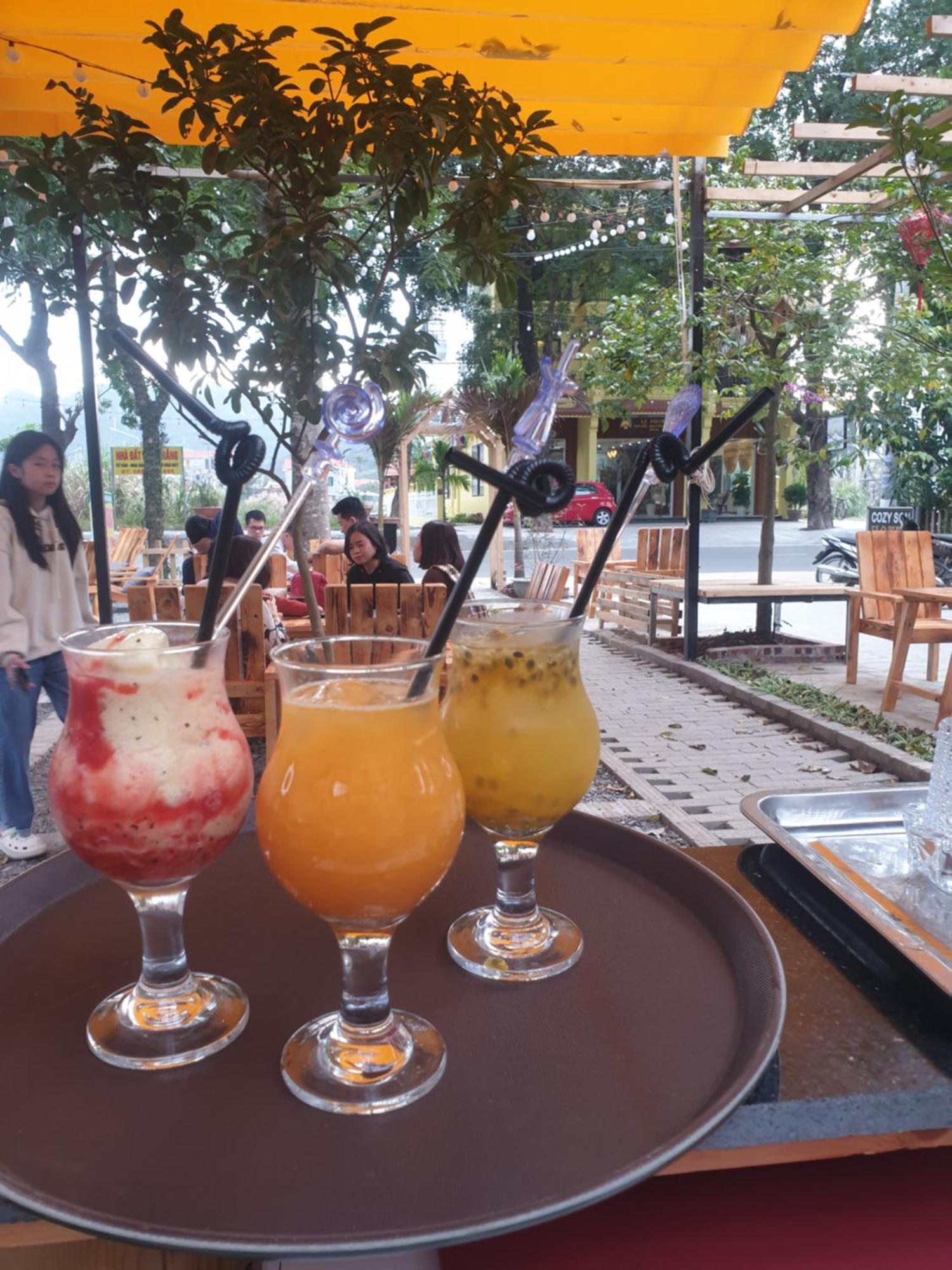 Cozy Son Hotel Ninh Binh