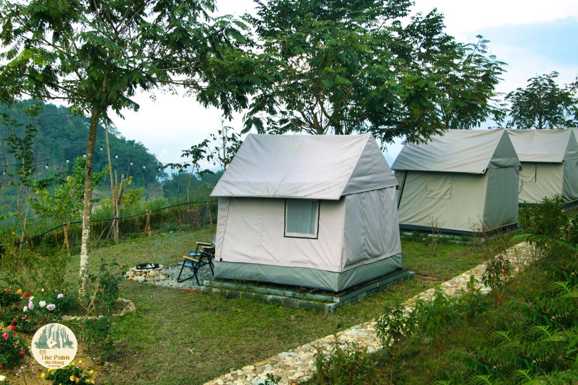 Lodge Tvpalm