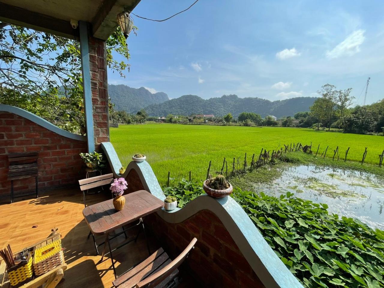 An An Phong Nha