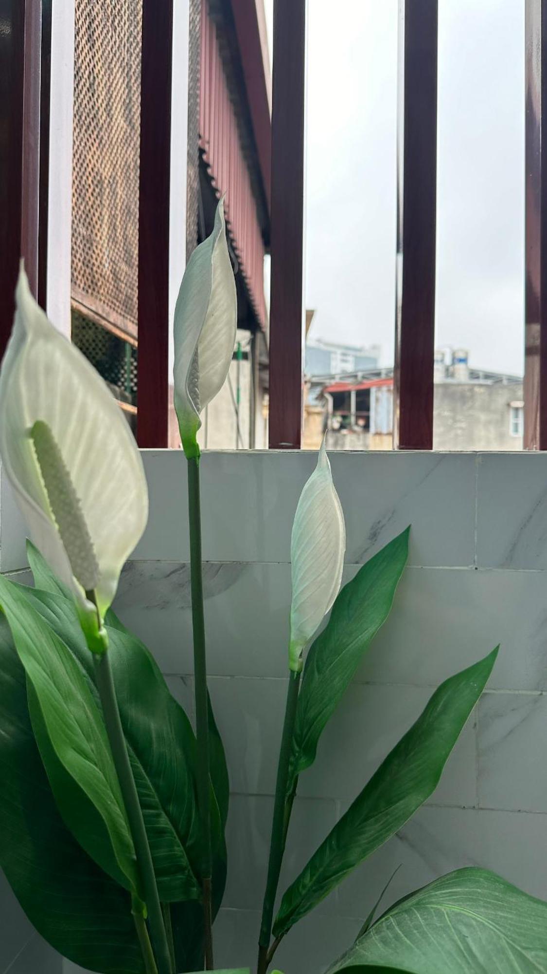 Guest house Giam Gia 25 Phan Tram- - Kim Ma - Giang Minh *