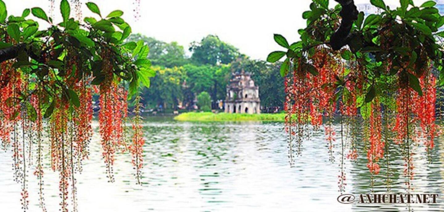 Giam Gia 25 Phan Tram- - Kim Ma - Giang Minh * Hanoi
