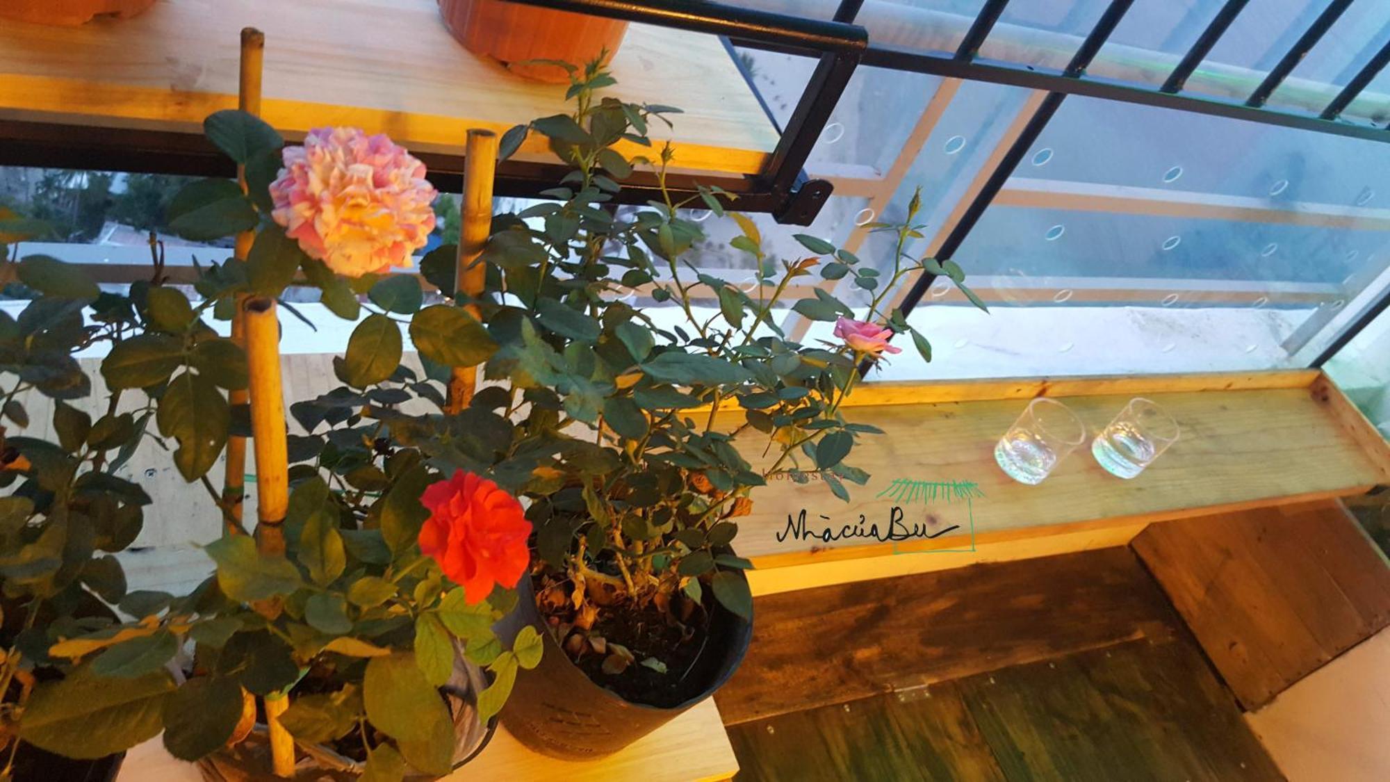 Bu Apartment