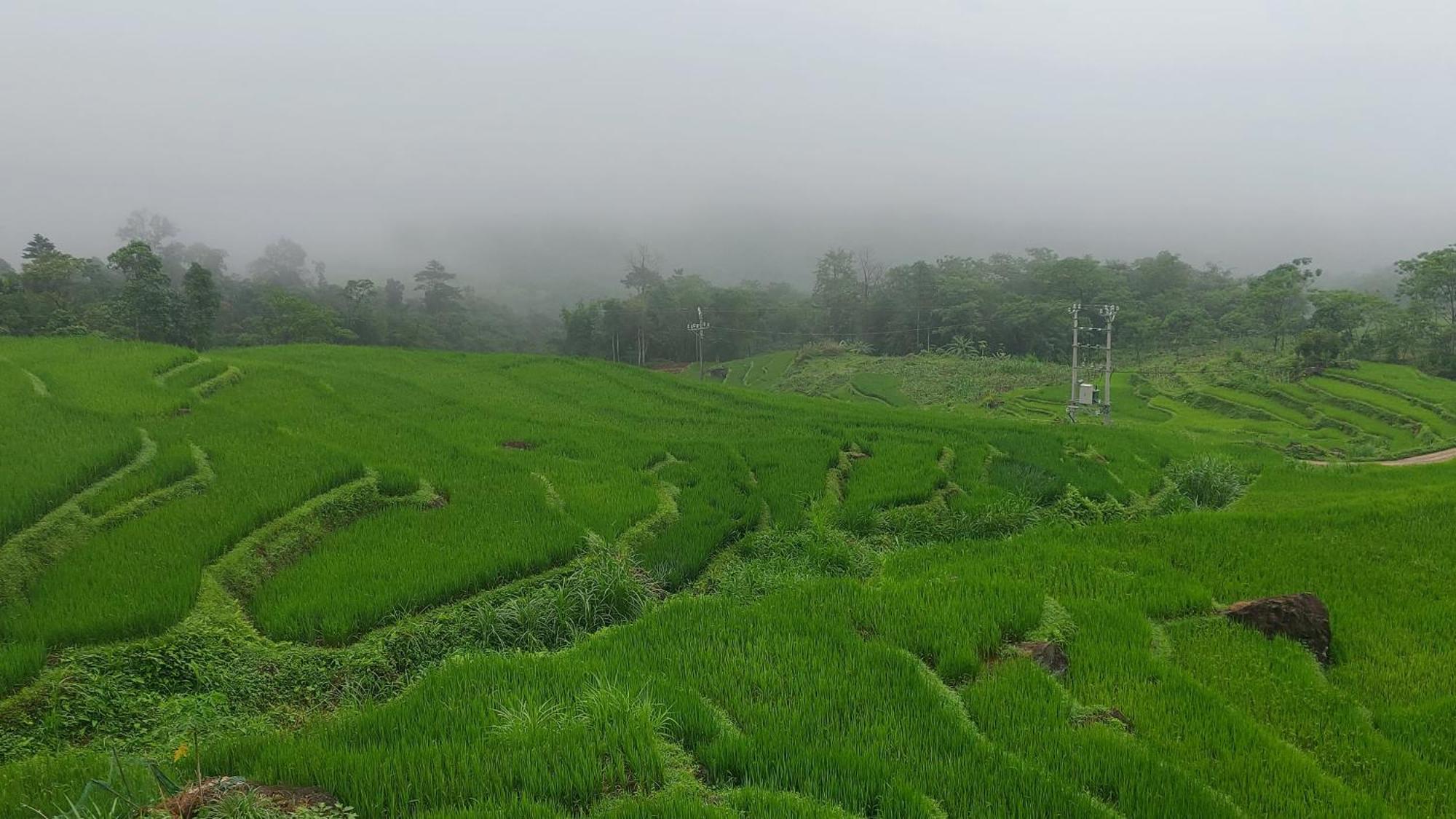 Guest house Horizon *