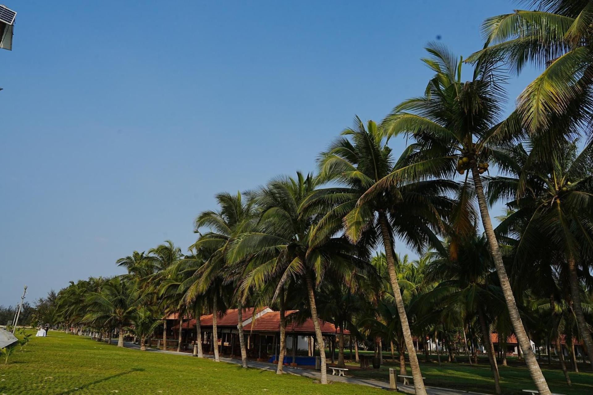 Hotel Dat Lanh Beach Resort