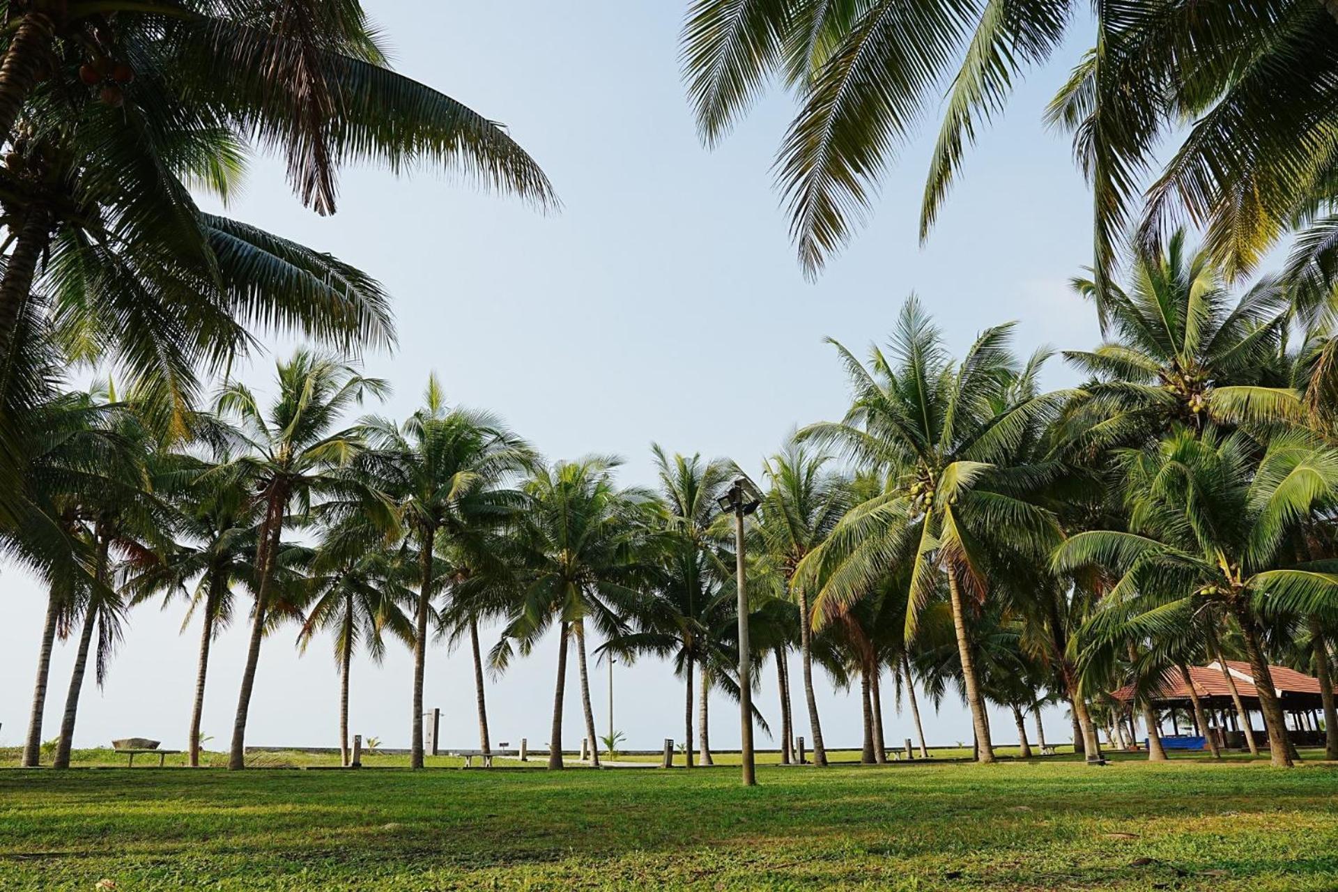 Dat Lanh Beach Resort Hotel