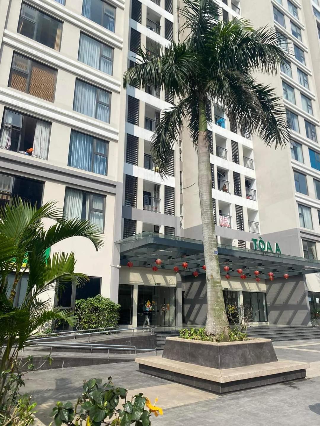Apartment Thuy