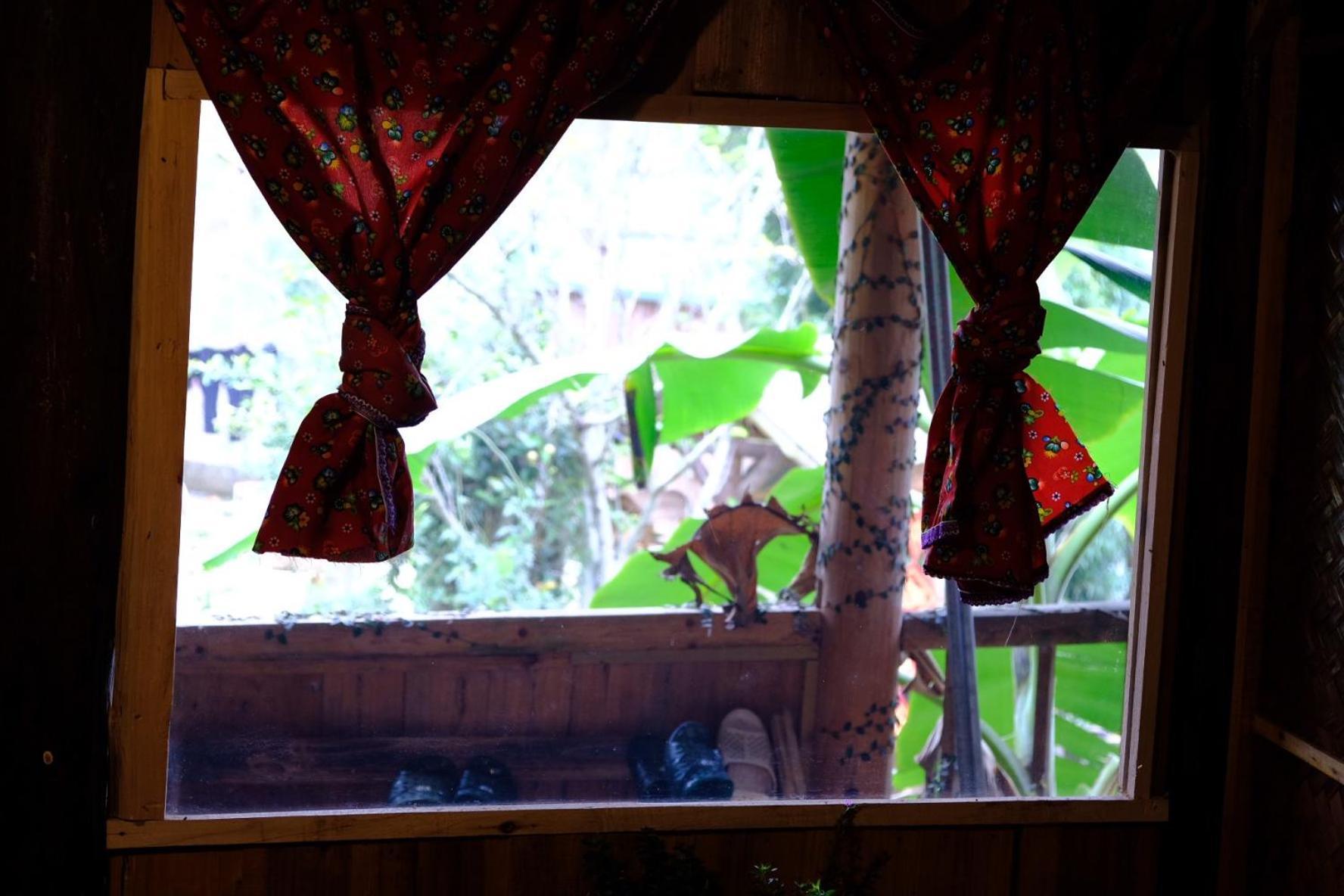 Homestay La Beaute *