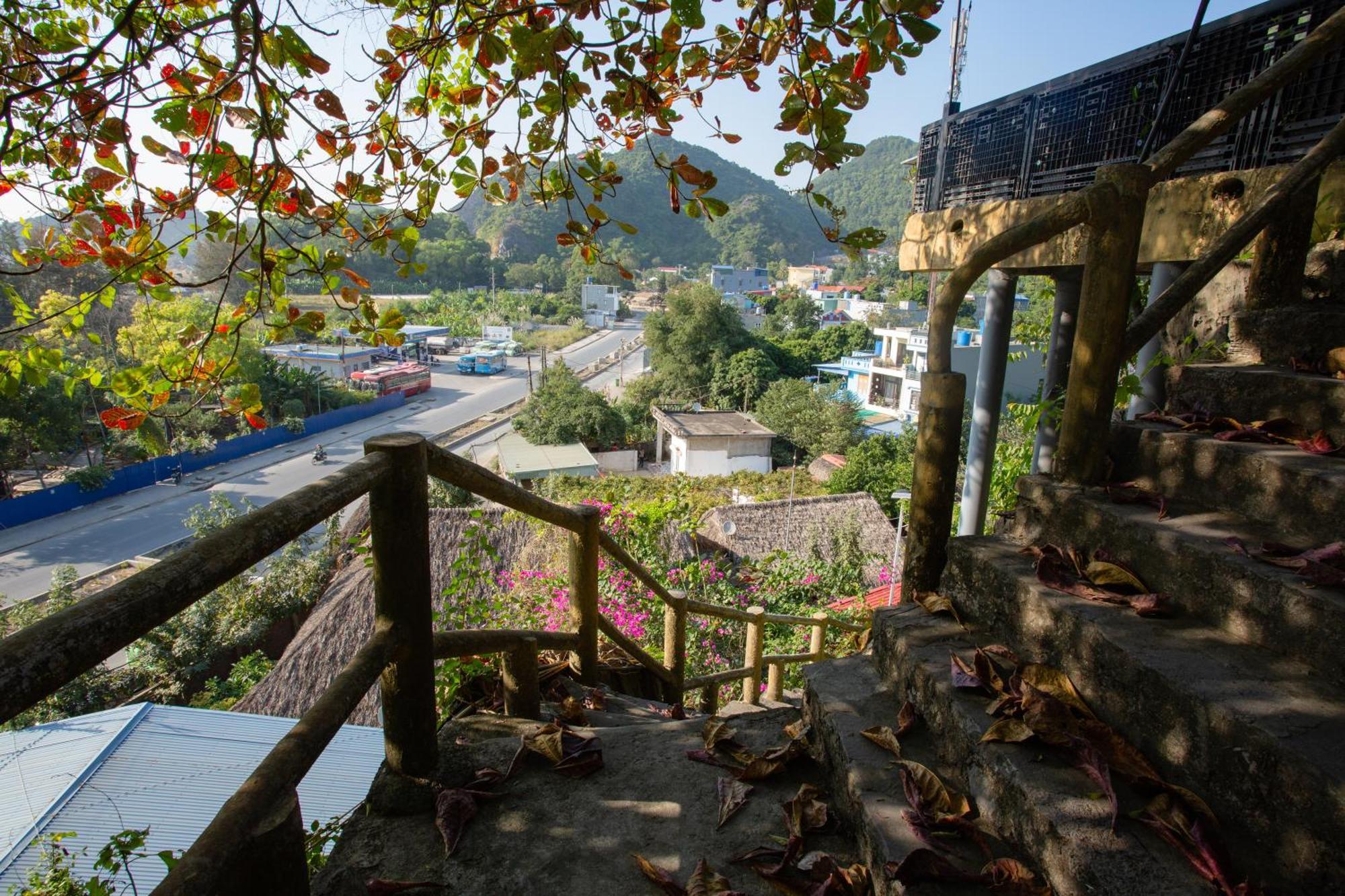Bed & Breakfast Cat Ba Mountain View