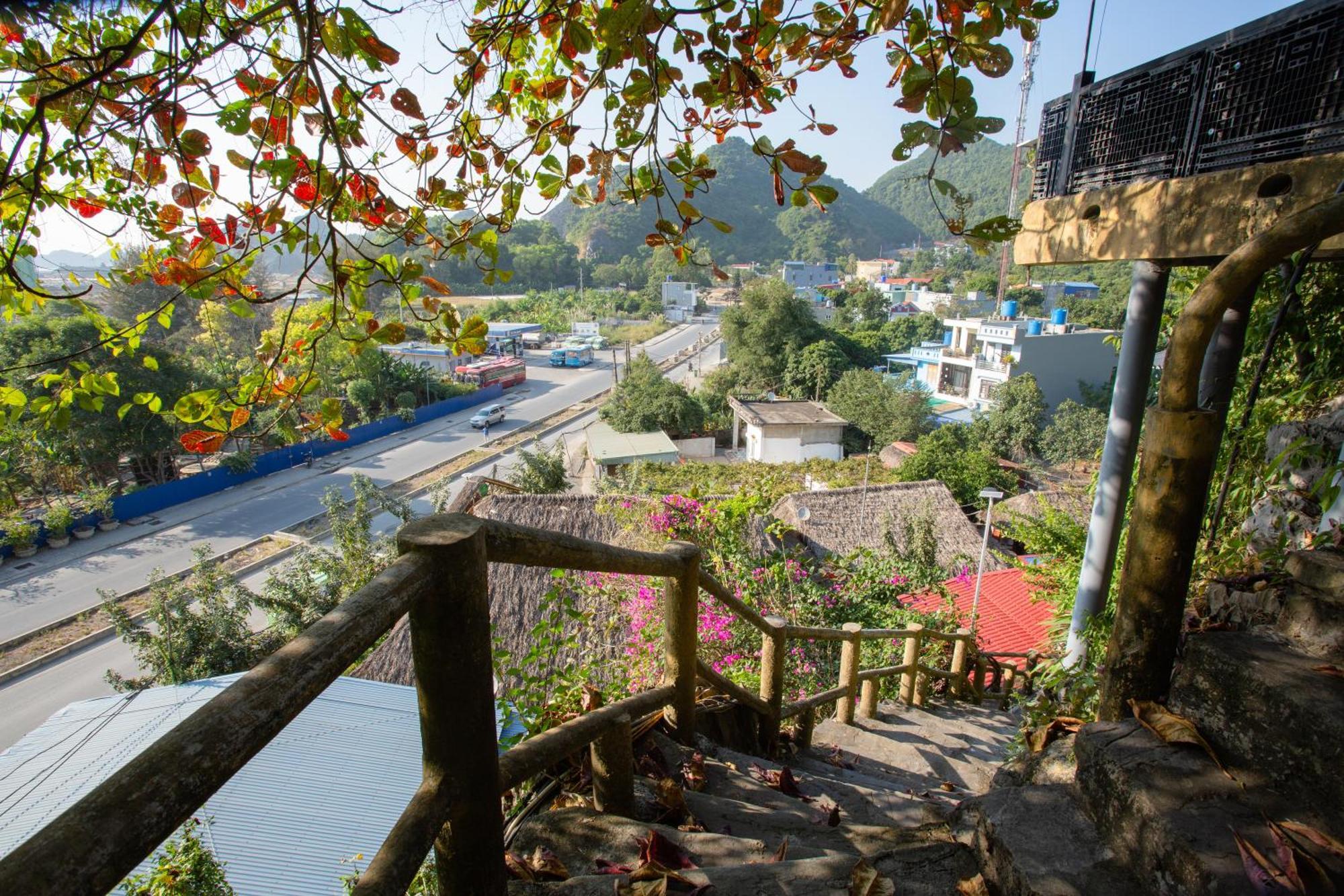 Bed & Breakfast Cat Ba Mountain View 2*